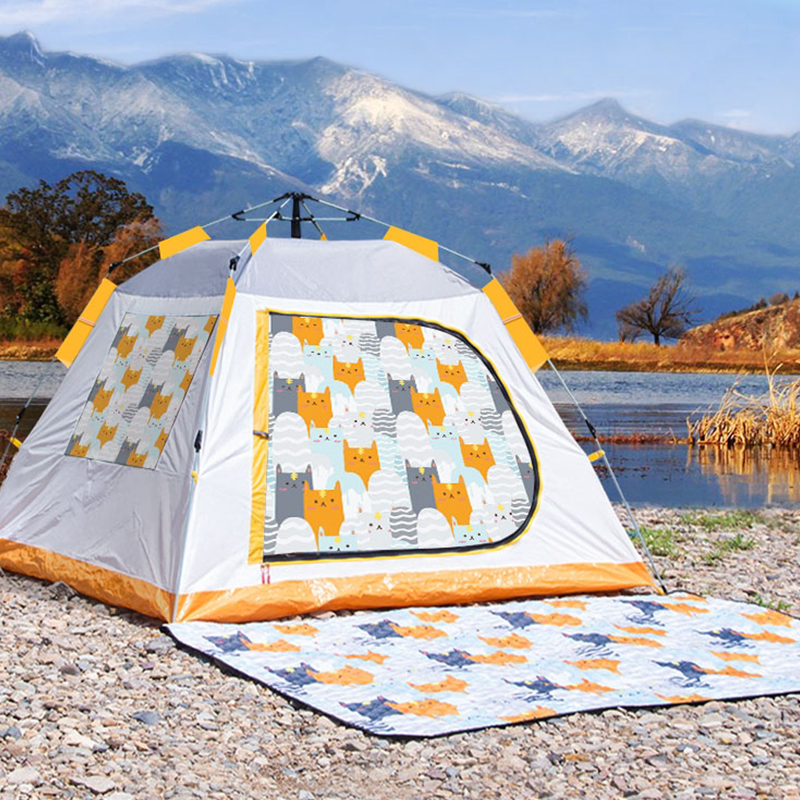 Fabraic Allamuigh ( Phuball / Cathaoirleach Trá )